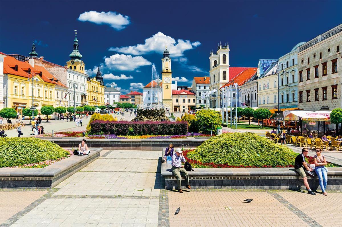 Apartman Central, Self Check In 24 H, Free Parking Banska Bystrica Exterior photo